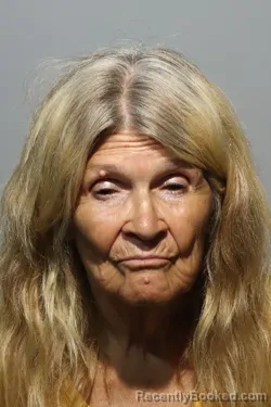 Mugshot of DEBRA KAYE ASHCRAFT booked in Seminole County, Florida on June 28, 2026