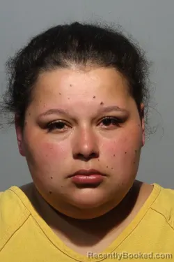 Mugshot of BEATRIZ COLLAZO booked in Seminole County, Florida on June 28, 2026