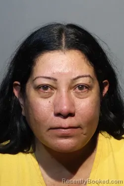 Mugshot of LILLIANA ESTHER ZAMBRANO booked in Seminole County, Florida on June 28, 2026