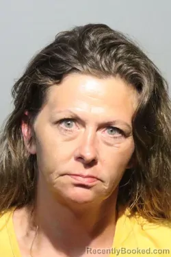 Mugshot of DANIELLE KIRK booked in Seminole County, Florida on June 29, 2026