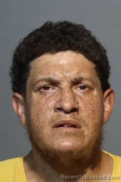 Mugshot of LUIS ENRIQUE RODRIGUEZ-ROMAN booked in Seminole County, Florida on July 2, 2026