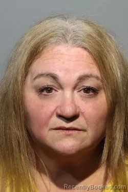 Mugshot of CHRISTINE ANN HISS booked in Seminole County, Florida on July 3, 2026