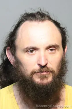 Mugshot of RYAN EDWARD DIPPEL booked in Seminole County, Florida on July 3, 2026