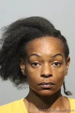 Mugshot of DAYSHA TASHEENA FURR booked in Seminole County, Florida on July 3, 2026