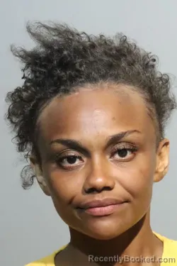 Mugshot of DESTINY FAITH POWELL booked in Seminole County, Florida on July 3, 2026