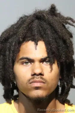 Mugshot of RAYMOND FABIAN JIMENEZ booked in Seminole County, Florida on July 3, 2026