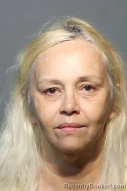 Mugshot of TAMMY RENEE CLARK booked in Seminole County, Florida on July 6, 2026