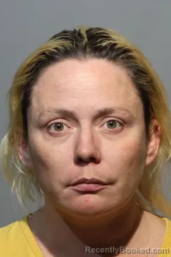 Mugshot of AMANDA LYNN SMITH booked in Seminole County, Florida on July 6, 2026
