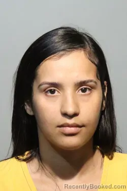 Mugshot of RAQUEL TAINA PEREZ booked in Seminole County, Florida on July 8, 2026