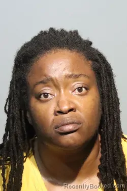Mugshot of ROCHELLE GABRIELLE HAMILTON booked in Seminole County, Florida on July 8, 2026