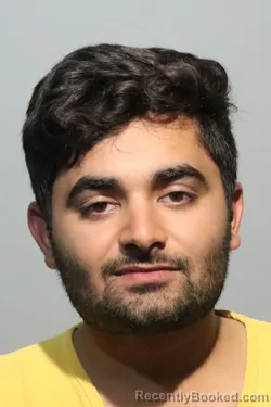 Mugshot of ARYAN NEHRA booked in Seminole County, Florida on July 9, 2026