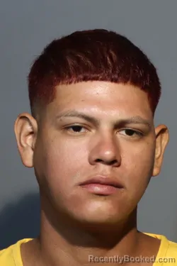 Mugshot of JHONARY EMMANUEL MENA GUTIERREZ booked in Seminole County, Florida on July 12, 2026
