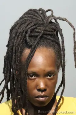 Mugshot of TAJA DESHEREE VANN booked in Seminole County, Florida on July 13, 2026