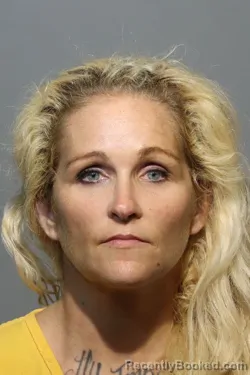 Mugshot of Megan Jeanne Nettles booked in Seminole County, Florida on July 27, 2026