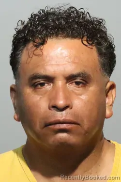 Mugshot of Gamaliel David Barrios Lopez booked in Seminole County, Florida on July 27, 2026
