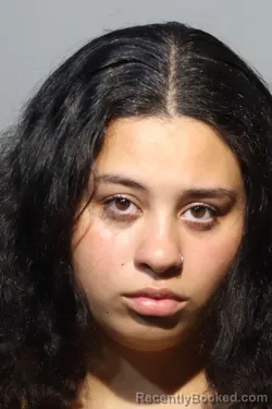 Mugshot of Valery Guzman booked in Seminole County, Florida on August 8, 2026