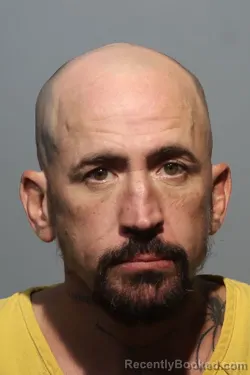 Mugshot of Travis James Lewis booked in Seminole County, Florida on August 8, 2026