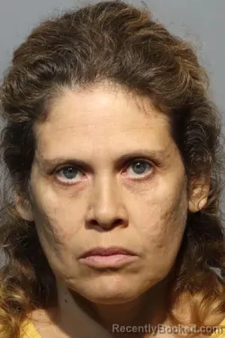 Mugshot of Yzbeth Dulia Zea booked in Seminole County, Florida on August 9, 2026