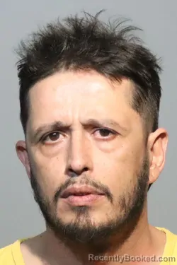 Mugshot of Julian David Munoz Cadavid booked in Seminole County, Florida on August 10, 2026