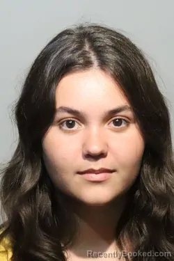Mugshot of Sienna Arianna Perez booked in Seminole County, Florida on August 13, 2026