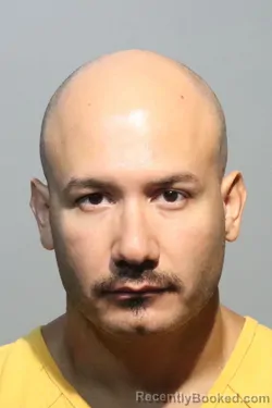 Mugshot of Alexis Angel Mangual booked in Seminole County, Florida on August 16, 2026