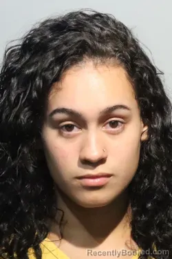 Mugshot of Danielle Landi Colon booked in Seminole County, Florida on August 16, 2026