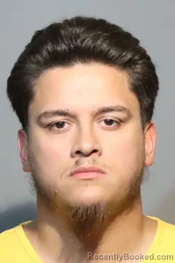 Mugshot of Angelo Urbina booked in Seminole County, Florida on August 17, 2026