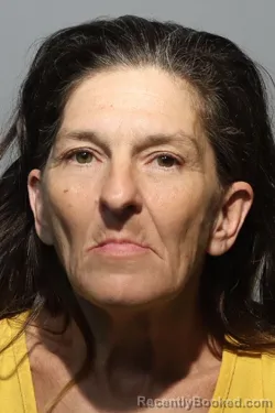 Mugshot of Michelle Ann Zarra booked in Seminole County, Florida on August 17, 2026
