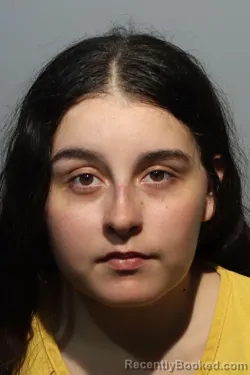 Mugshot of Sariyah Tavianna Dejesus booked in Seminole County, Florida on August 17, 2026