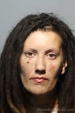 Mugshot of Toni Marie Czmyr booked in Seminole County, Florida on August 18, 2026