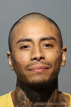 Mugshot of Christian Andres Holguin booked in Seminole County, Florida on August 18, 2026