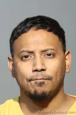 Mugshot of Shirvan Gandi Sagar booked in Seminole County, Florida on August 19, 2026