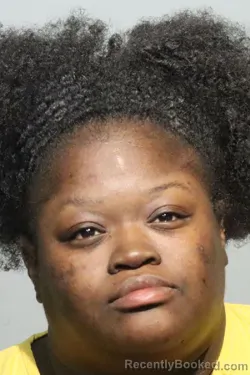 Mugshot of Kierra Wilkina Burgess booked in Seminole County, Florida on August 19, 2026