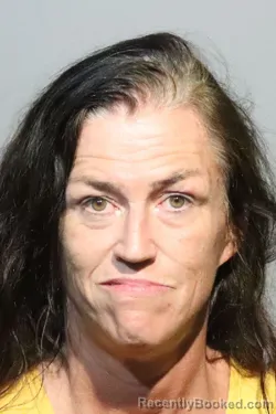 Mugshot of Kelli Dannielle Fields booked in Seminole County, Florida on August 19, 2026