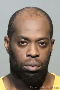 Mugshot of Christopher Ola Ihunwo booked in Seminole County, Florida on August 20, 2026