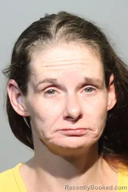 Mugshot of Mandy Nicole Smith booked in Seminole County, Florida on August 20, 2026