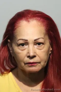Mugshot of Iris Espada booked in Seminole County, Florida on August 20, 2026