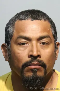 Mugshot of Agustin Jose Peregrino Martinez booked in Seminole County, Florida on August 20, 2026