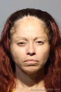 Mugshot of Roxana Castro booked in Seminole County, Florida on August 22, 2026