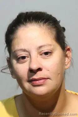 Mugshot of Heather Lynn Hoover booked in Seminole County, Florida on August 24, 2026
