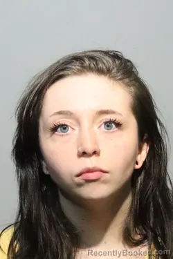 Mugshot of Hailey Nicole Comfort booked in Seminole County, Florida on August 25, 2026