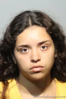 Mugshot of Lillianna Maria Pagan booked in Seminole County, Florida on August 25, 2026
