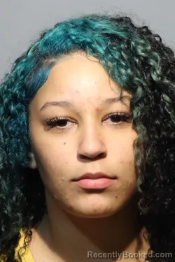 Mugshot of Janae Erielis Ruiz Medlock booked in Seminole County, Florida on September 6, 2026