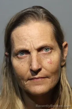 Mugshot of Tara Siobhan Quinlivan booked in Seminole County, Florida on September 15, 2026