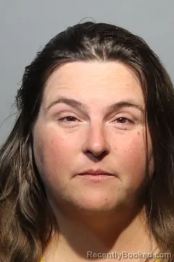 Mugshot of Allyson Marie Griffin booked in Seminole County, Florida on September 15, 2026