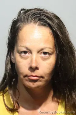 Mugshot of Theresa Marie Klingensmith booked in Seminole County, Florida on October 6, 2026
