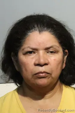 Mugshot of Ana Christina Zelaya booked in Seminole County, Florida on October 6, 2026