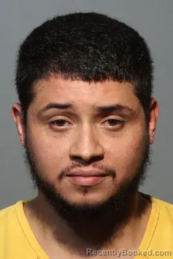 Mugshot of Luis Alejandro Fernandez booked in Seminole County, Florida on October 8, 2026