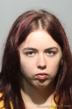 Mugshot of Briana Christina Koller booked in Seminole County, Florida on October 11, 2026