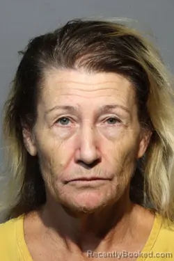 Mugshot of Michelle Renee Jarrell booked in Seminole County, Florida on October 12, 2026
